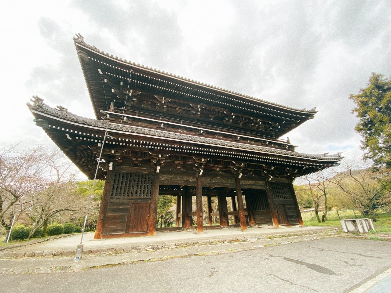 根来寺　桜