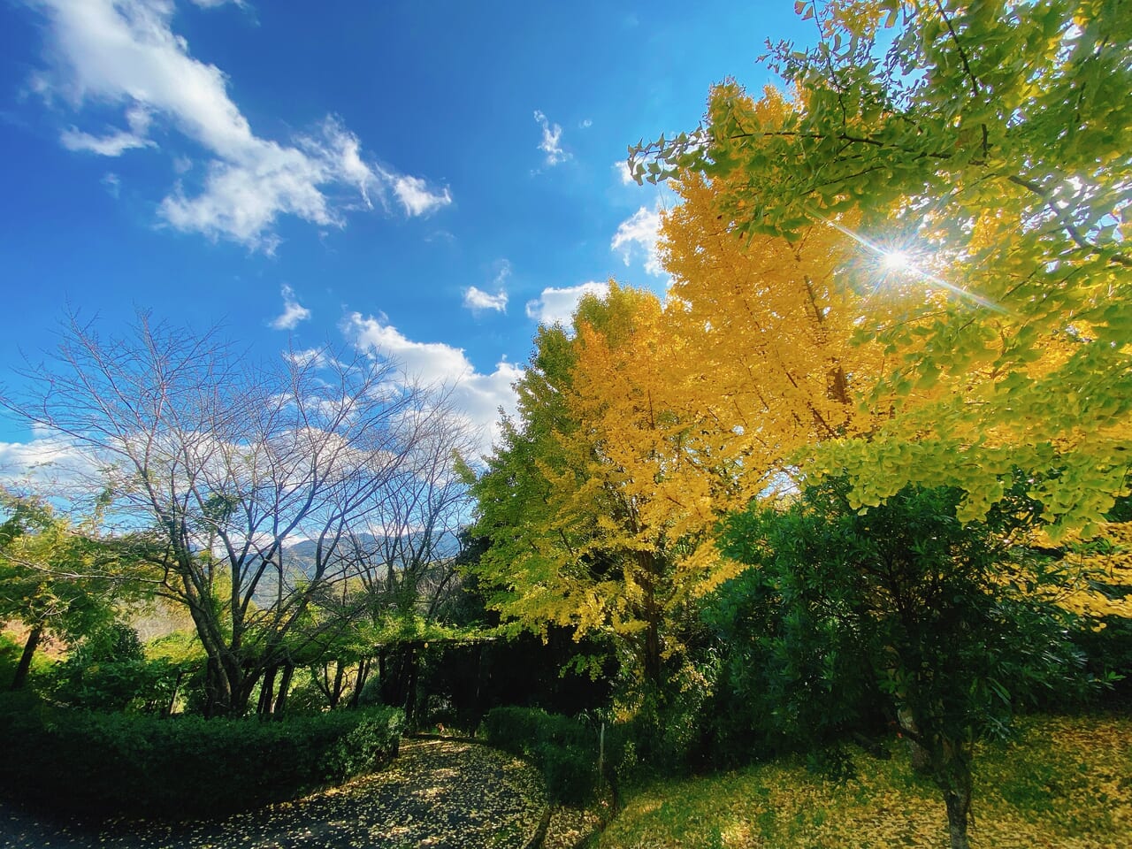 あっと　西野山