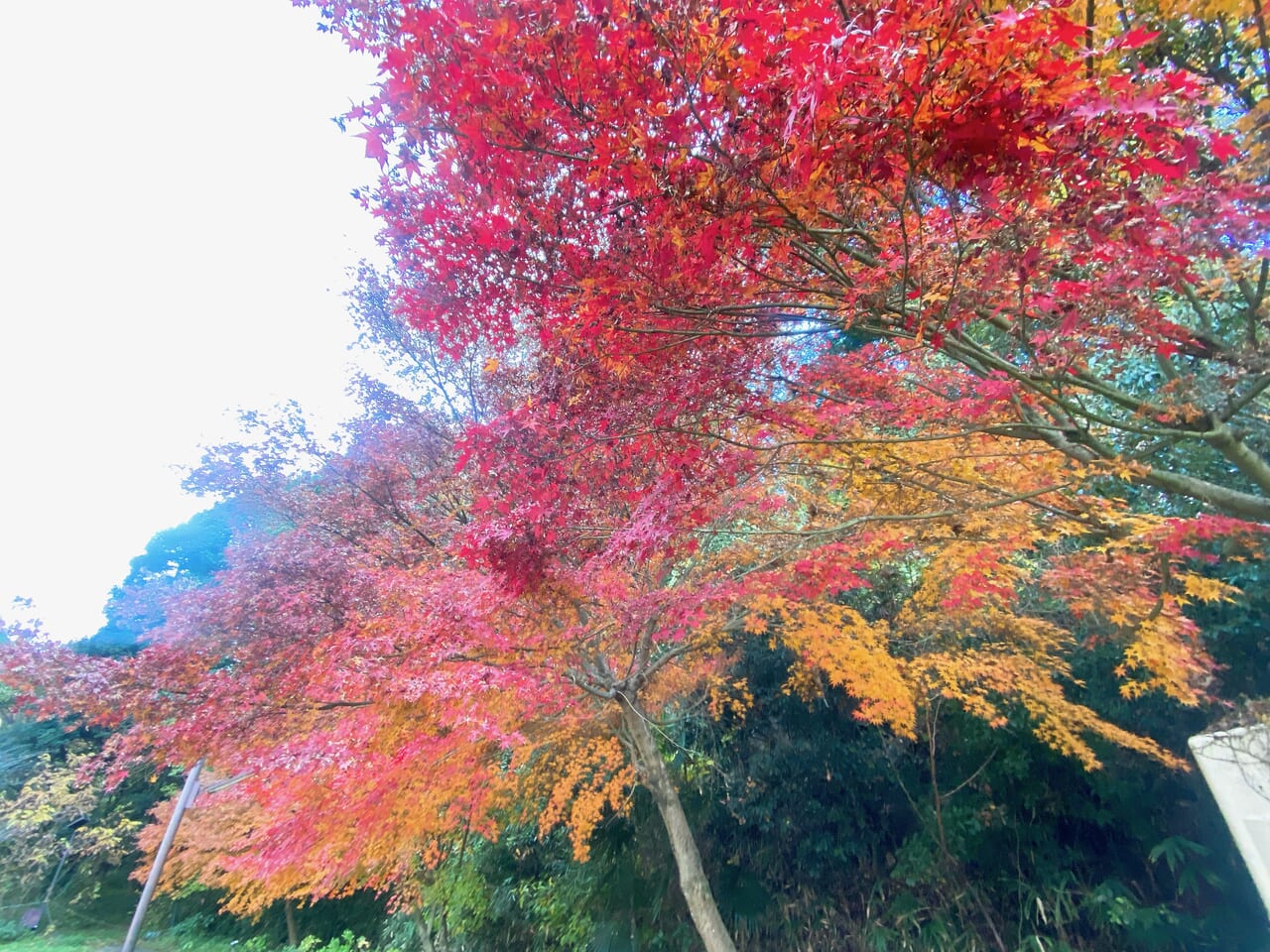 あっと　西野山