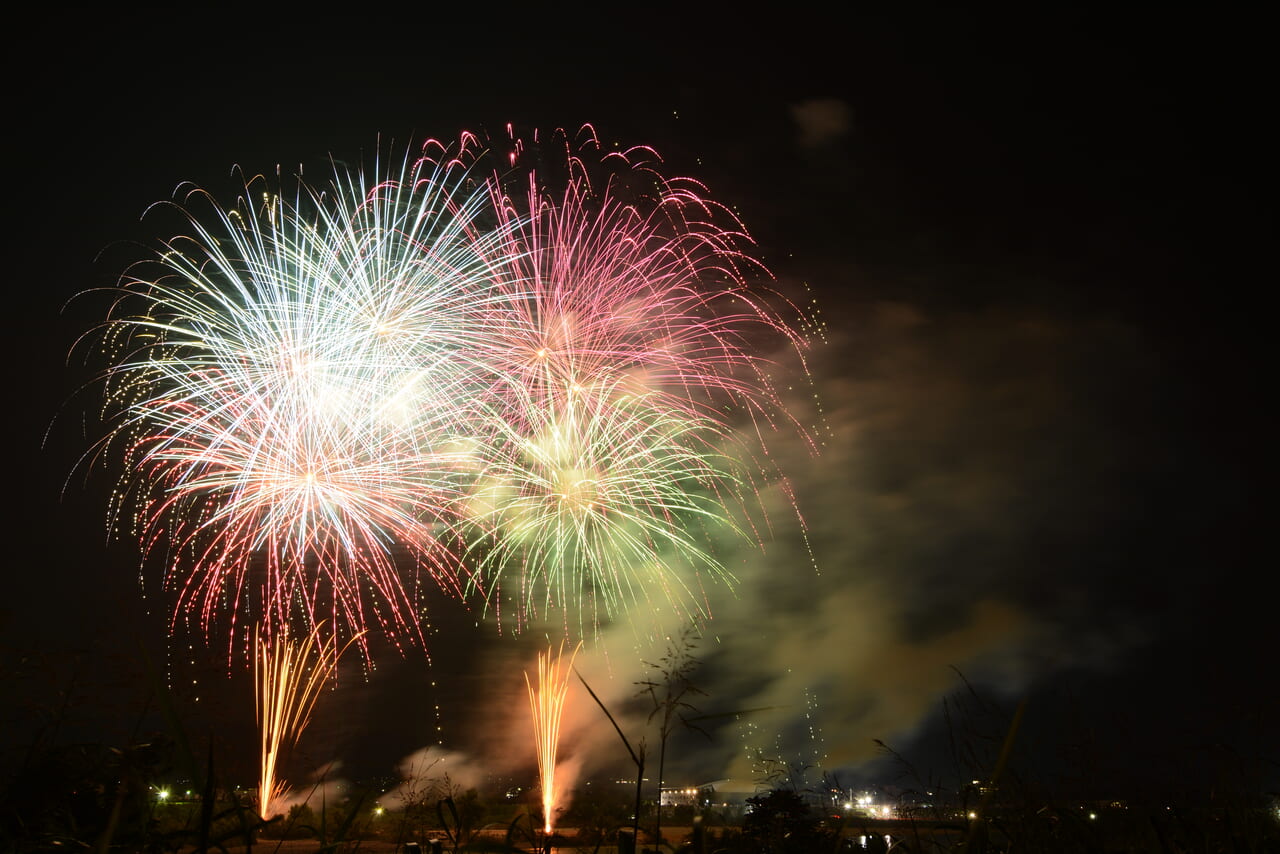 市民祭り　花野