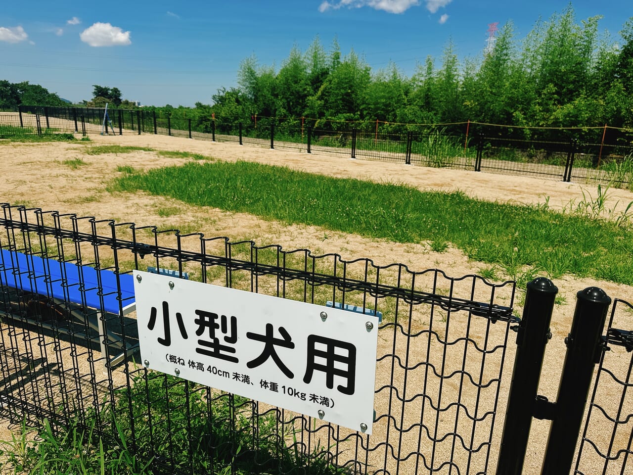 西野　ドッグラン