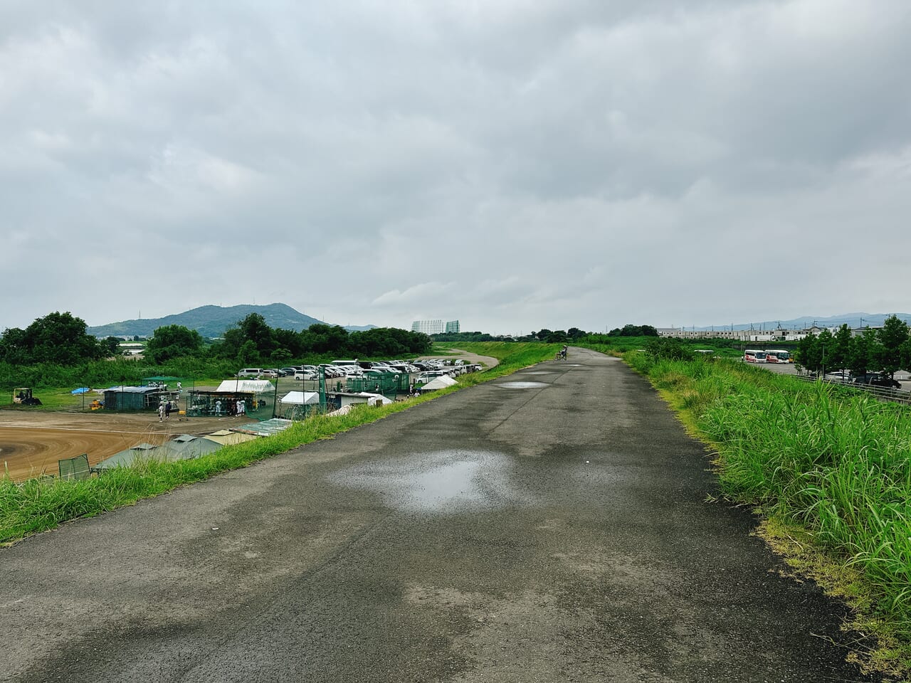 市民祭り　花野